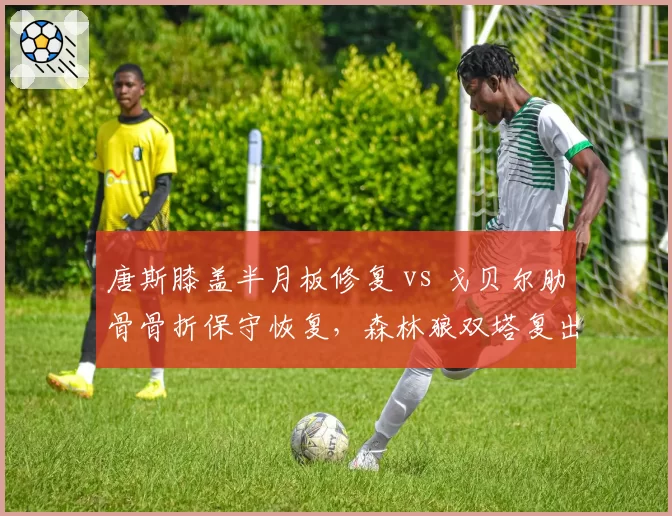 唐斯膝盖半月板修复 vs 戈贝尔肋骨骨折保守恢复，森林狼双塔复出时间差决定西部排名
