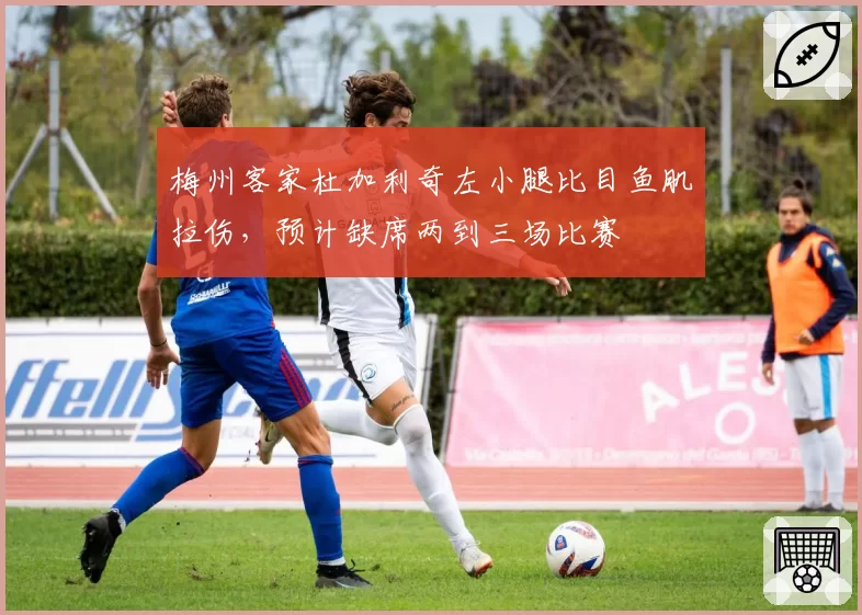梅州客家杜加利奇左小腿比目鱼肌拉伤，预计缺席两到三场比赛