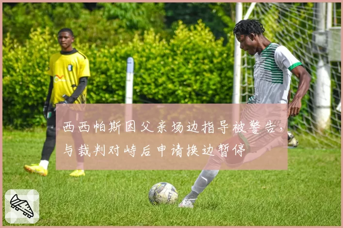 西西帕斯因父亲场边指导被警告，与裁判对峙后申请换边暂停