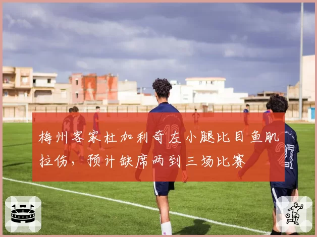 梅州客家杜加利奇左小腿比目鱼肌拉伤，预计缺席两到三场比赛